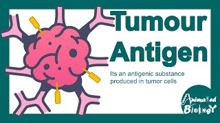 Tumour antigens  Tumour specific antigen  Tumourassociated antigen  Tumour immunity [upl. by Harneen]