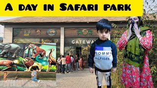 A Day in Lahore Safari park  Jahangir family vlogs [upl. by Kelula]