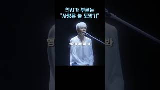 천사가 노래를 부르면 AI박효신 quot사랑은 늘 도망가quot shorts [upl. by Nelhsa893]