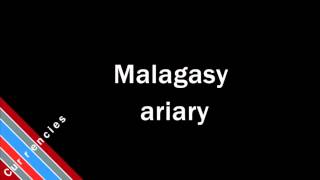 How to Pronounce Malagasy ariary [upl. by Maillij]