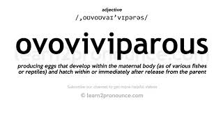 Pronunciation of Ovoviviparous  Definition of Ovoviviparous [upl. by Konikow]