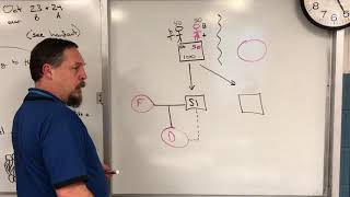 Outcrossing linebreeding amp Inbreeding Basics Part 1 RCCOR not to be confused with COI [upl. by Merilyn]