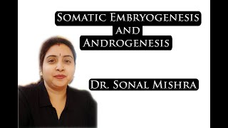 Somatic embryogenesis and Androgenesis by Dr Sonal Mishra [upl. by Nies]