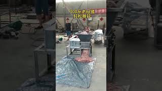 Animal carcass bone crusher Hazardous waste shredder Medical waste shredder [upl. by Hutchison]