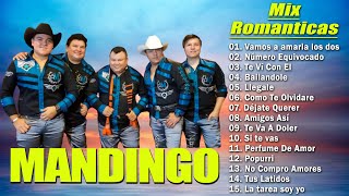 Grupo Mandingo Exitos ❤️ Mix Romanticas 2024 🌹 Exitos Sus Mejores Canciones De Grupo Mandingo ❤️ [upl. by Solotsopa]