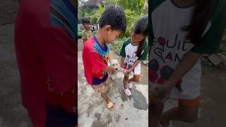 Dog to school funny shortpants shortsfeed satisfyingeats shortshorts mukbang dog doglover [upl. by Amoritta]