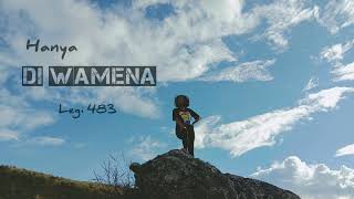 Legi 483  Di Wamena official audio [upl. by Venetia]