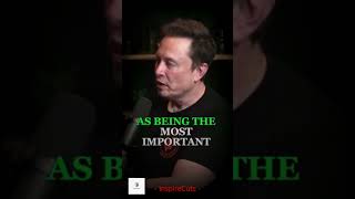 Elon Musk on AI Safety Decades of Thought and Precaution elonmusk shortspeeches shorts podcast [upl. by Sajet831]