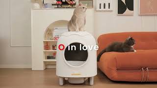 HHOLOVE iPet Automatic Cat Litter Box [upl. by Leila]