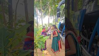 Rural AgriTourism at Tamil Nadu culture youtubeshorts agritourism rural [upl. by Maro591]