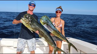 OFFSHORE FISHING for DOLPHIN [upl. by Barbour824]