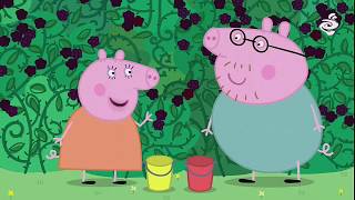 PEPPA PIG39 min Cūciņa pepa LV Latviešu valodā [upl. by Tenenbaum488]