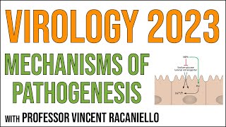 Virology Lectures 2023 15 Mechanisms of pathogenesis [upl. by Ocicnarf]