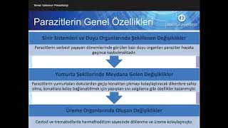 TEMEL VETERİNER PARAZİTOLOJİ  Ünite2 Özet [upl. by Brnaby]