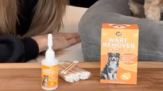 Dog Wart Remover20ML Natural Dog Wart Removal Treatment Review [upl. by Briggs20]