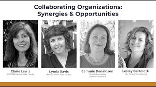 OUTSIDE Collab 2023 Collaborating Organizations  Synergies amp Opportunities [upl. by Laural]