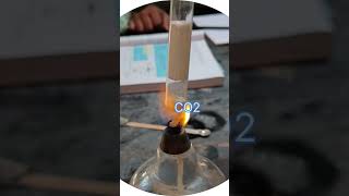 decomposition of CaCO3 by heating gives CO2 [upl. by Anelej]