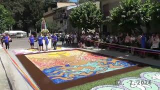 INFIORATA IN ONORE DI MARIA SS Di MONSERRATO VALLELONGA VV 2024 [upl. by Luciana194]