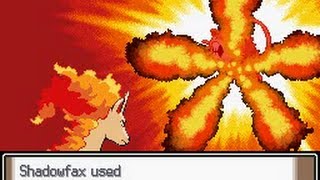 Pokemon Attack Showcase Fire Attacks [upl. by Reisch175]