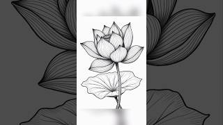 Coloring Pages  Fun amp Relaxing Activity short coloring procreate [upl. by Inek28]