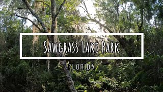 Hiking Sawgrass Lake Park  Florida [upl. by Adil]