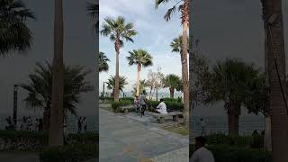 WATCH NOW  Al Khobar Corniche a beautiful place [upl. by Malanie]