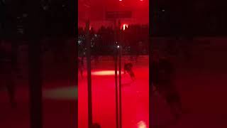 Cardiff devils ice hockey [upl. by Zumstein]