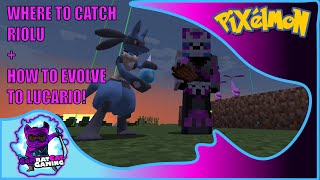 HOW TO CATCH RIOLU  HOW TO EVOLVE INTO LUCARIO  PIXELMON [upl. by Tyler37]