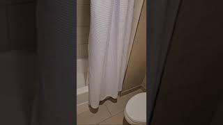 Embassy Suites by Hilton Deerfield Beach Resort amp Spa Room tour [upl. by Lang229]