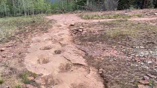 Longest Dinosaur Trackway [upl. by Timothee]