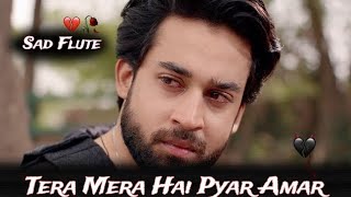 Tera mera hai pyar amar lyrics  Ishq Murshid OST  Lyrics  Bilal Abbas  Singer Ahmed Jahanzeb [upl. by Nylaf]