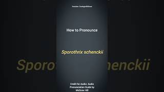 Sporothrix schenckii Pronunciation  Microbiology Pronunciation Guide  Biological Names [upl. by Tomkin]