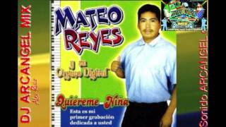 MATEO REYES MIX Puras Chilenas Perrona Nuevo Mix 2017 [upl. by Renard717]