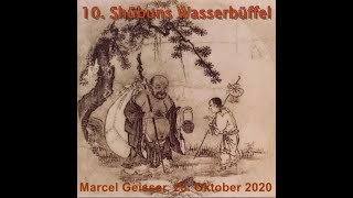 10 Shūbuns Wasserbüffel Marcel Geisser Roshi [upl. by Rheba]