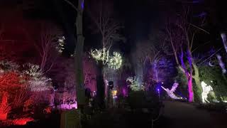 Wonder lights  Malahide Castle amp Gardens 202223 [upl. by Atnek]