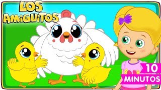 Los Pollitos Dicen 🐣 colección  Los Amiguitos Canciones Infantiles [upl. by Enal]