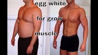 Egg white breakfasts for bodybuilding [upl. by Andrew]