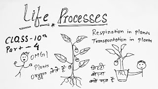 Life processes class 10 part 4 GKP  respiration in humans  life processes class 10 biology 😅😅 [upl. by Clayson]