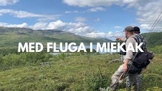 VLOGG  MED FLUGA I MIEKAK [upl. by Lazes]