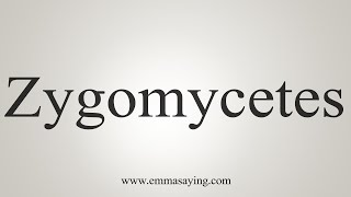 How To Say Zygomycetes [upl. by Yevette215]