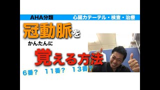 感動 冠動脈の解剖が分かる AHAの冠動脈の分類の暗記 心臓カテーテルを楽しく行うための勉強法 心臓専門医 米山喜平Yoneyama Kihei [upl. by Anitac481]