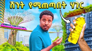 አለምን ጉድ ያስባለችው ሀገር ሄድኩ Singapore vlog [upl. by Oberg]