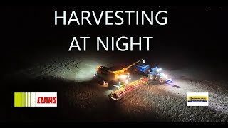 CLAAS LEXION 7700 TT AFTER DARK BEAN HARVESTING [upl. by Annohsak]