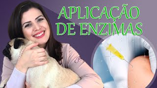 APLICAÇÃO DE ENZIMAS  Aprenda tudo sobre a técnica  DÓI [upl. by Eliot80]