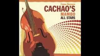 Cachaos Mambo All Stars  Como Mi Amigo No Hay Dos [upl. by Turner823]