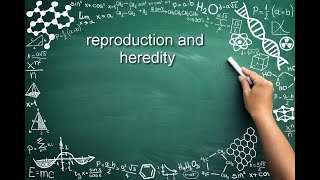 GED Science  Reproduction and Heredity [upl. by Secnarfyram]