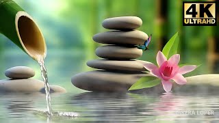 Heals and Repairs Nerve Damage • Relaxing Music Bamboo Fountain  SAKEERA LOPER [upl. by Orvan]