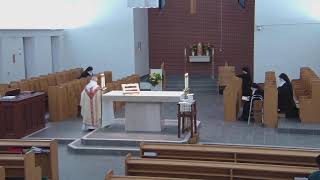 Mass 32nd Friday St Albert the Great Nov 15 2024 [upl. by Hartzel691]