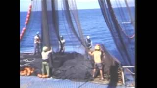 Purse seining Yellowfin Tuna Fishing Aboard the Capt Joe Medina [upl. by Le]