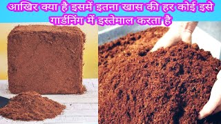 क्यू इतना खास है कोकोपीट जिसे हर कोई इस्तेमाल करता है गार्डनिंग में  Cocopeat Uses In Gardening [upl. by Cuda]